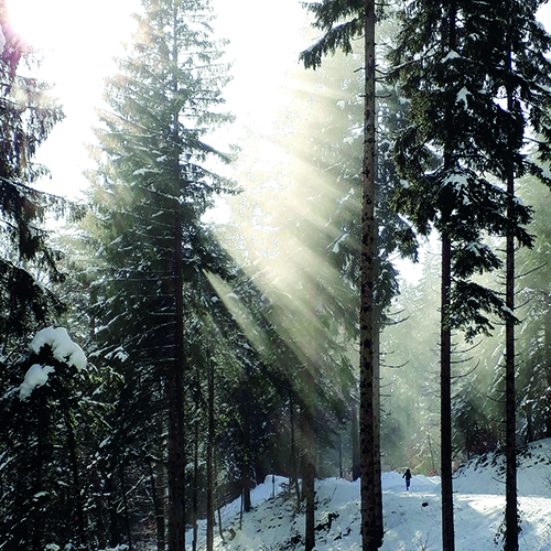 Golden Roof Hiking | All Season Hiking in Innsbruck Tyrol Austria